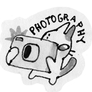 drawing of a cat with a camera
